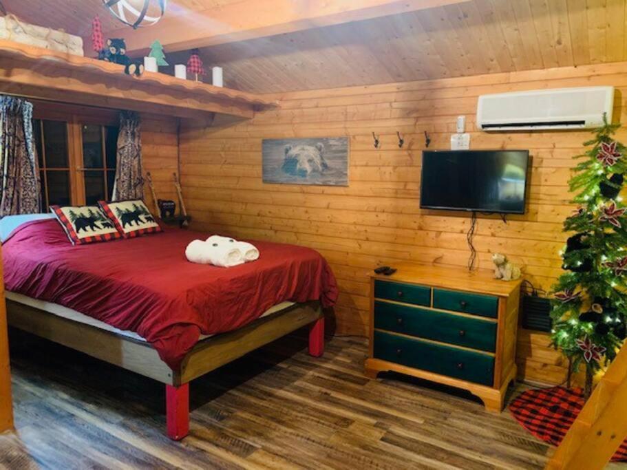 Honeybear Hideaway Cabin ヘイワード エクステリア 写真