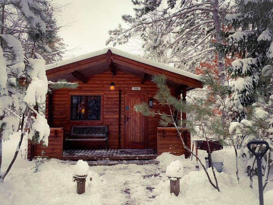 Honeybear Hideaway Cabin ヘイワード エクステリア 写真