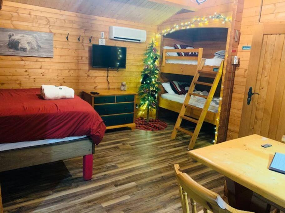 Honeybear Hideaway Cabin ヘイワード エクステリア 写真