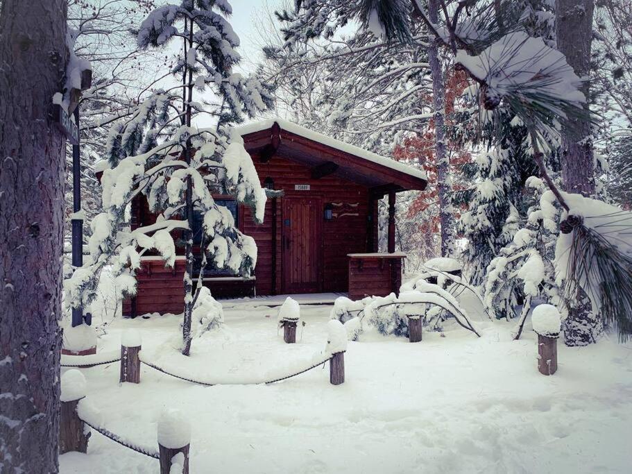 Honeybear Hideaway Cabin ヘイワード エクステリア 写真