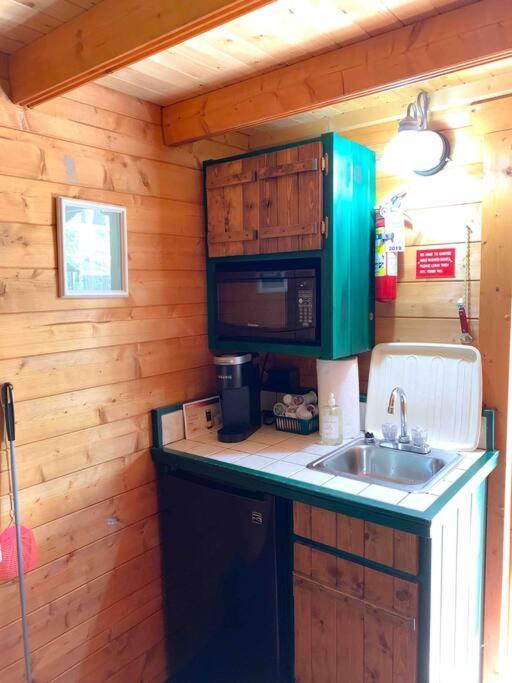 Honeybear Hideaway Cabin ヘイワード エクステリア 写真
